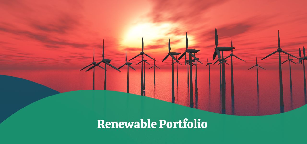 Renewable Portfolio | Definition, Goals, Sources & Policies